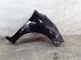 1777180 Крыло переднее правое Ford Fiesta 6 Арт A430013, вид 1