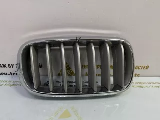 7316076 Решетка радиатора BMW X5 F15 Арт TP86296, вид 1