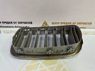 7316076 Решетка радиатора BMW X5 F15 Арт TP86296, вид 13