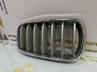 7316076 Решетка радиатора BMW X5 F15 Арт TP86296, вид 3