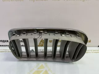 7316076 Решетка радиатора BMW X5 F15 Арт TP86296, вид 10