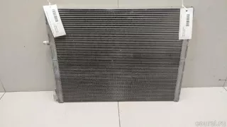 17117576273 BMW Радиатор основной BMW X6 E71/E72 Арт E70692815, вид 1