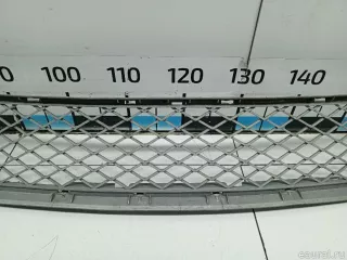 51117222854 BMW Решетка в бампер центральная BMW X5 E70 Арт E31537889, вид 3