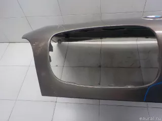 41617486754 BMW Капот BMW X6 E71/E72 Арт E31545236, вид 7
