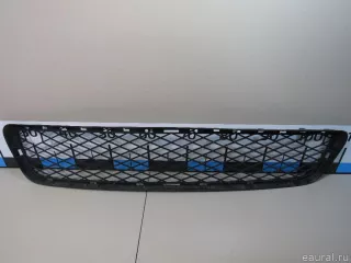51117163956 BMW Решетка в бампер центральная BMW X5 E70 Арт E80869035, вид 1