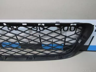 51117163956 BMW Решетка в бампер центральная BMW X5 E70 Арт E80869035, вид 3