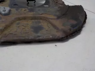 4650342040 Toyota Кожух защитный тормозного диска Toyota Rav 4 4 Арт E84124124, вид 3