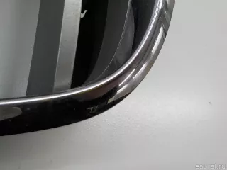 51137185223 BMW Решетка радиатора BMW X6 E71/E72 Арт E84565214, вид 4