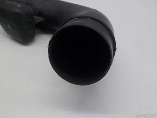 16554BB00A Nissan Воздухозаборник (наружный) Nissan Qashqai 2 restailing Арт E84744569, вид 9