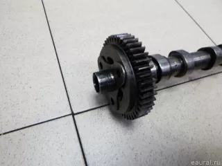 1300100Q0W Nissan Распредвал Nissan X-Trail T32 Арт E100046265, вид 2