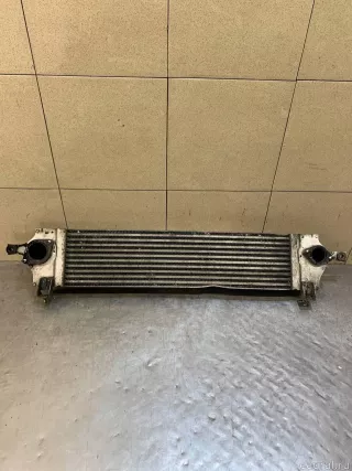 14461JD50A Nissan Интеркулер Nissan Qashqai 2 restailing Арт E100155380, вид 1