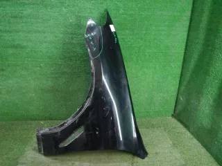 41007930973 крыло переднее левое BMW X3 G01 Арт DIZ0000002915616, вид 1
