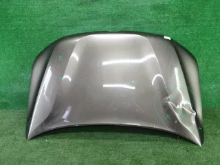 651008494R капот Renault Duster 2 Арт DIZ0000005673520, вид 1