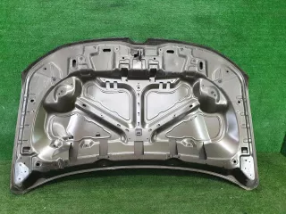 651008494R капот Renault Duster 2 Арт DIZ0000005673520, вид 2