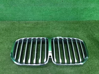 51137454895 решетка радиатора BMW X7 g07 Арт DIZ0000005727742, вид 1
