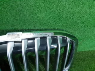 51137454895 решетка радиатора BMW X7 g07 Арт DIZ0000005727742, вид 9