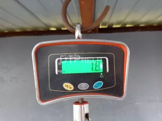 86640H0510 Бампер задний Kia Rio 4 Арт AM23000424, вид 17