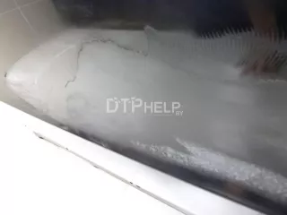 8R0831051E Дверь передняя левая Audi Q5 1 Арт AM60038684, вид 3