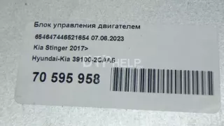 391002CAA5 Блок управления двигателем Kia Stinger Арт AM70595958, вид 8