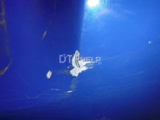 1J6807421D Бампер задний Volkswagen Golf 4 Арт AM1841819, вид 4
