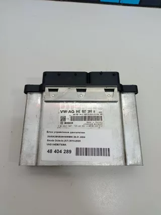04E907309A Блок управления двигателем Volkswagen Golf 7 Арт AM48404289, вид 1