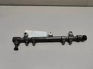 314002F000 Hyundai-Kia Топливная рампа  Hyundai Santa FE 4 (TM) restailing 2.0л Арт E22484203, вид 1