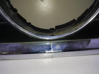 5N0853651C2ZZ VAG Решетка радиатора Volkswagen Tiguan 1 Арт E22800759, вид 4