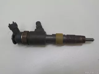 1980S5 Citroen-Peugeot Форсунка Citroen C3 2 restailing Арт E84727387, вид 1
