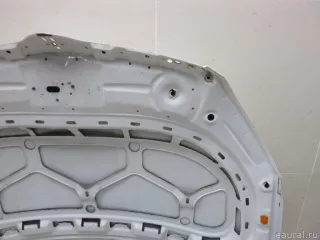 5J0823031B VAG Капот Skoda Roomster 1 restailing Арт E48441011, вид 12