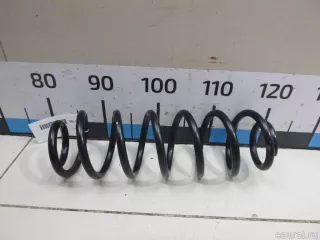 30946918 SWAG Пружина подвески задняя Volkswagen Jetta 5 Арт E48445100, вид 1