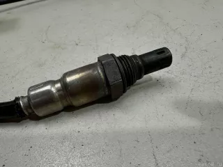 03F906262B VAG Лямбда-зонд Volkswagen Touran 2 Арт E48448196, вид 2