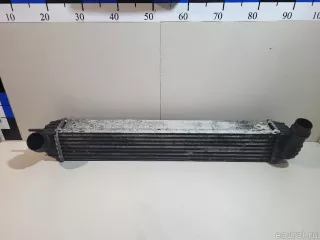 144610001N Renault Интеркулер Renault Laguna 3 Арт E23457681, вид 1