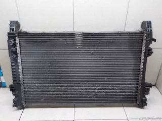 1695000403 Mercedes Benz Радиатор основной Mercedes S W221 Арт E31318436, вид 6