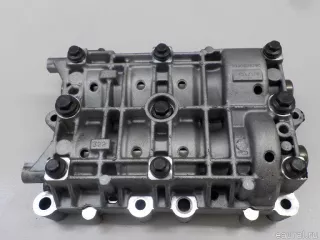LR010718 Land Rover Модуль балансирных валов Land Rover Freelander 2 Арт E84377715, вид 1