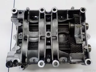 LR010718 Land Rover Модуль балансирных валов Land Rover Freelander 2 Арт E84377715, вид 5