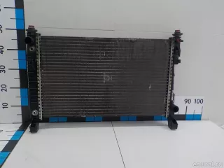 1695000003 Mercedes Benz Радиатор основной Mercedes S W221 Арт E84510821, вид 1