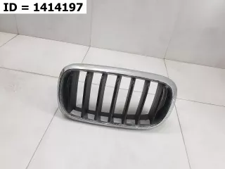 730866002 Решетка радиатора левая  BMW X5 F15 Арт VD1414197, вид 1
