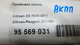 2531E6 Citroen-Peugeot Жгут проводов (Проводка) Peugeot RCZ Арт E95569031, вид 7