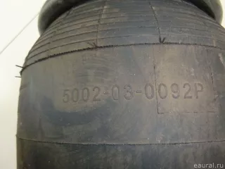 5002030091P Magnum Воздушная подушка (опора пневматическая) Volvo FM Арт E4235787, вид 8
