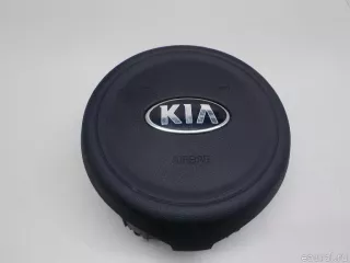 56900F1000 Hyundai-Kia Подушка безопасности в рулевое колесо Kia Sportage 4 Арт E103010649, вид 1