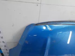 1718513 Ford Капот Ford Kuga 1 Арт E40745312, вид 4