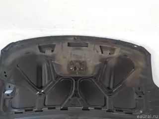 1718513 Ford Капот Ford Kuga 1 Арт E40901126, вид 17