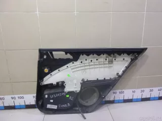 3T5867211A VAG Обшивка двери задней левой Skoda Superb 2 Арт E60301219, вид 3