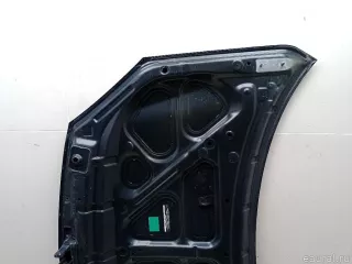 651000024R Renault Капот Renault Koleos Арт E48459306, вид 5
