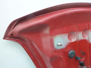 41007290944 BMW Капот BMW X4 G02 Арт E48460327, вид 22