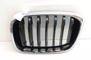 8091725 , art12049358 Решетка радиатора BMW X3 G01 Арт 12049358, вид 1