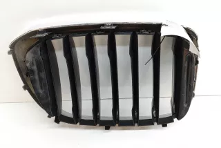 8091725 , art12049358 Решетка радиатора BMW X3 G01 Арт 12049358, вид 2