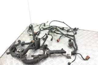 22869642 , art11677189 Проводка двигателя Opel Insignia 1 2.0л Арт 11677189, вид 1