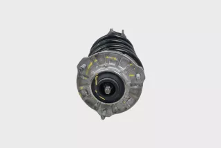 50546462, 50557141, 4x4 , art11899581 Амортизатор передний левый Alfa Romeo Giulia Арт 11899581, вид 3