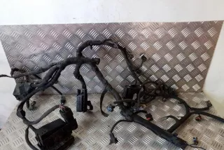 art11768899 Проводка двигателя Opel Antara Арт 11768899, вид 1